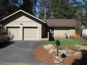 10533 Pine Needle 10533 Pine Needle