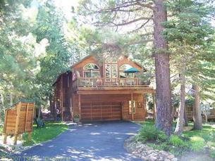 12416StBernard