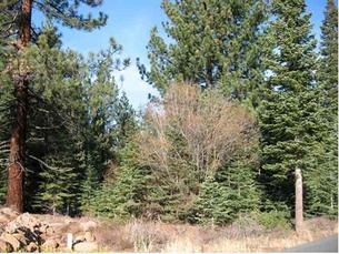 11620 Sawtooth.jpg